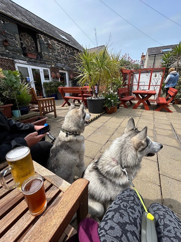 The White Lion