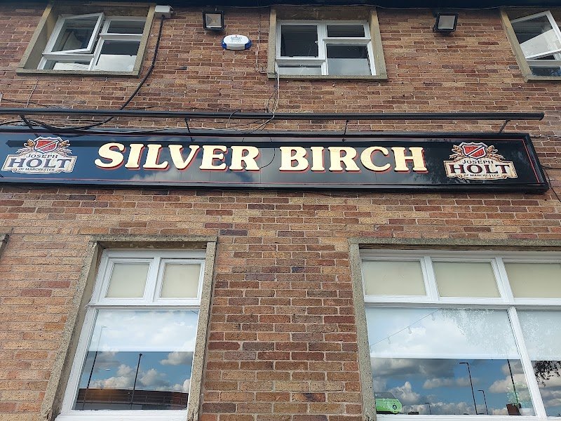 Silver Birch