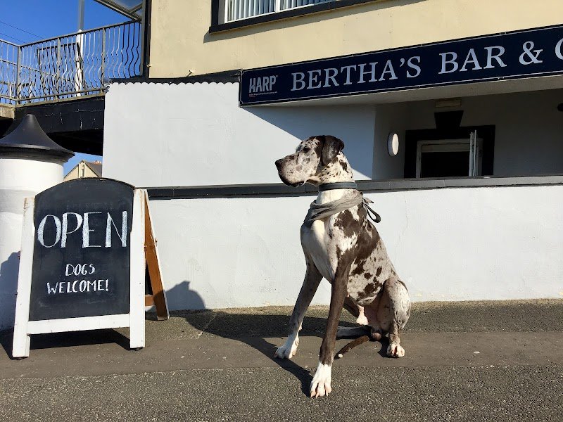 Bertha's Bar