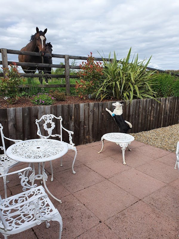 The Beeswing Inn