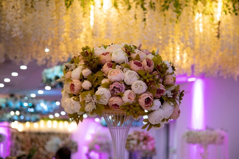Botanical Suite