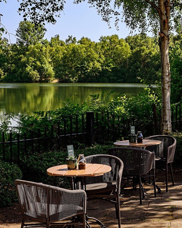 The Swan Holme