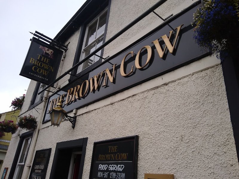 Brown Cow