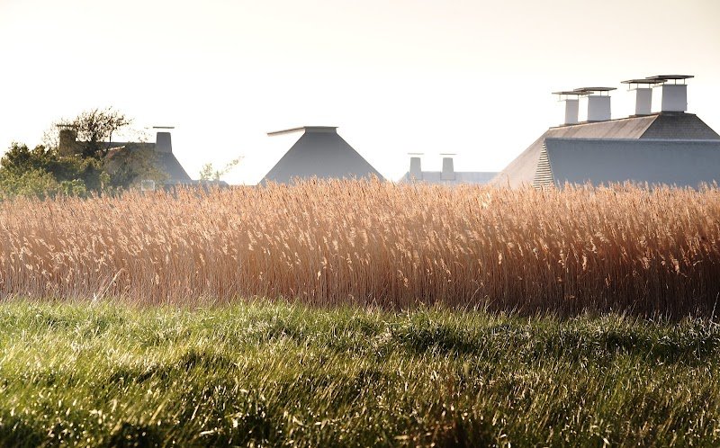Snape Maltings