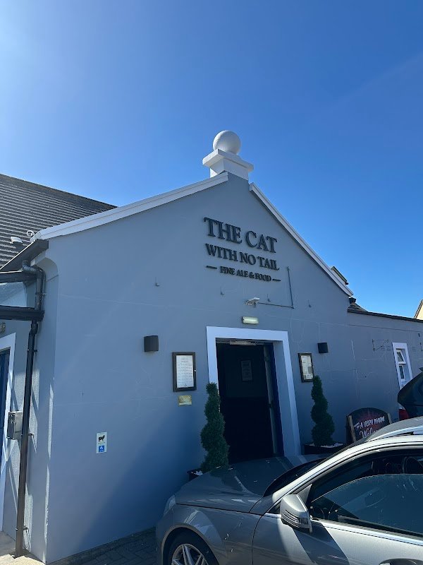 The Cat With No Tail