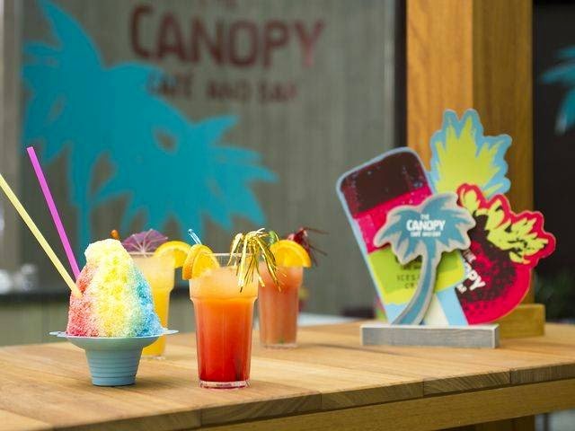 The Canopy Café and Bar