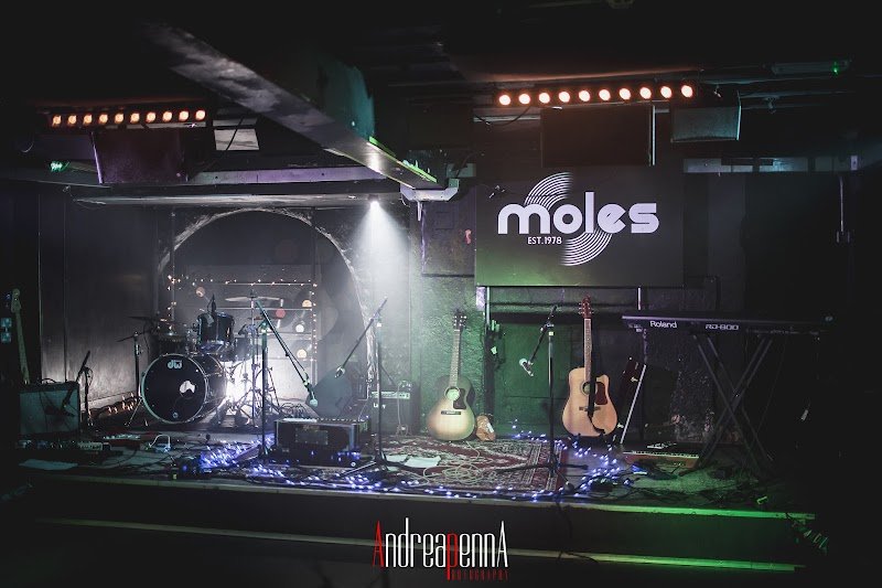 Moles