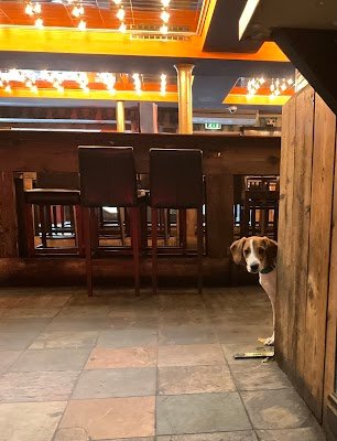 The Howlin' Wolf: Bar, Kitchen, Juke Joint