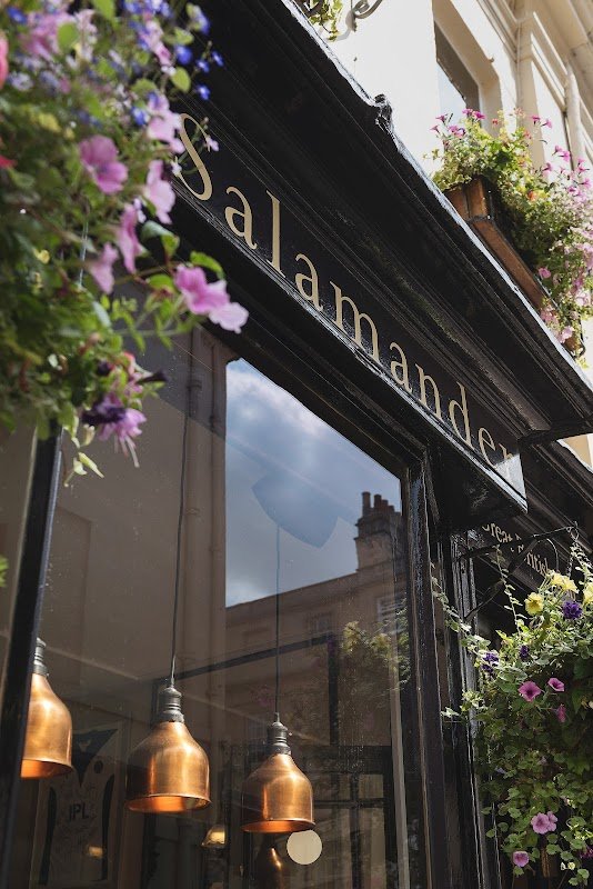 The Salamander
