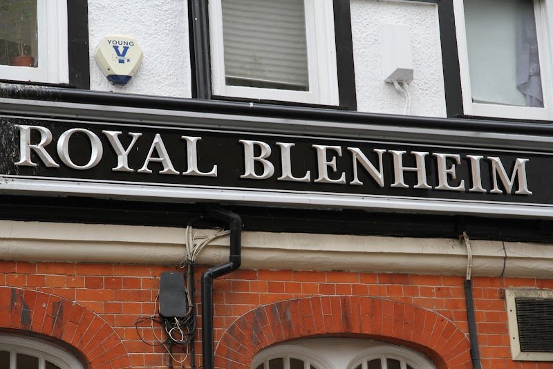 The Royal Blenheim