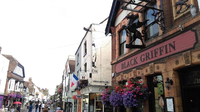 The Black Griffin